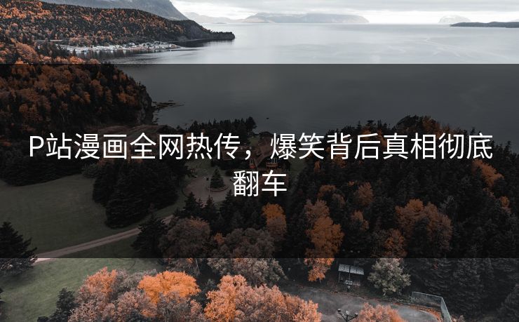 P站
