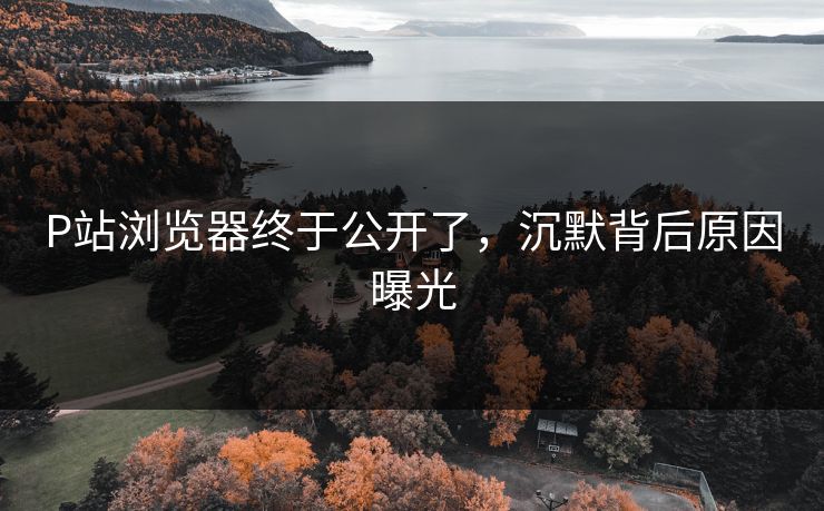 P站浏览器终于公开了，沉默背后原因曝光