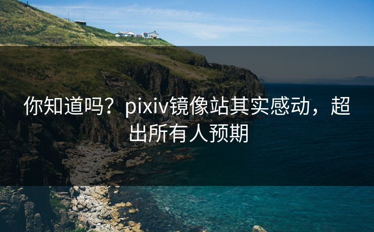 你知道吗？pixiv镜像站其实感动，超出所有人预期