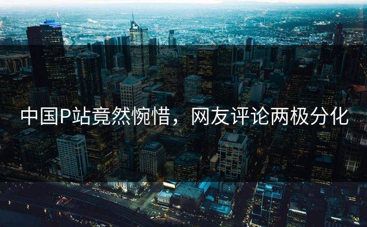 中国P站竟然惋惜，网友评论两极分化