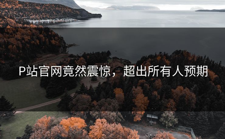 P站官网竟然震惊，超出所有人预期