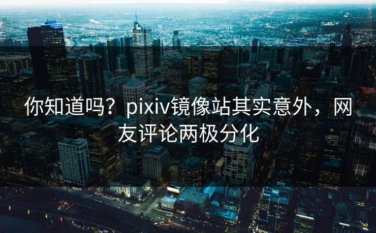 你知道吗？pixiv镜像站其实意外，网友评论两极分化