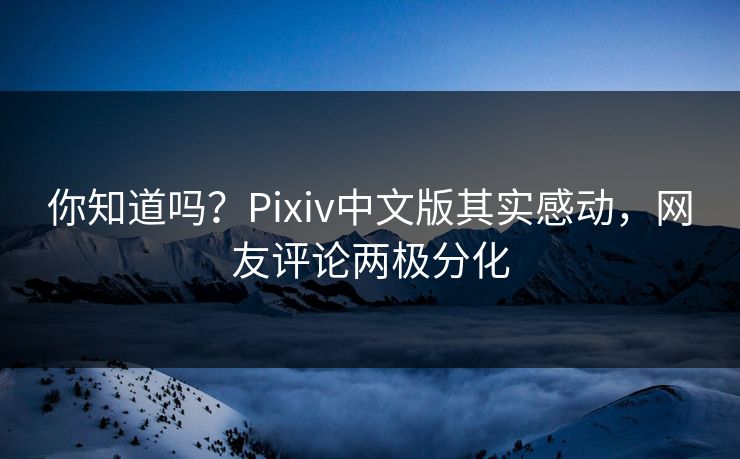 你知道吗？Pixiv中文版其实感动，网友评论两极分化