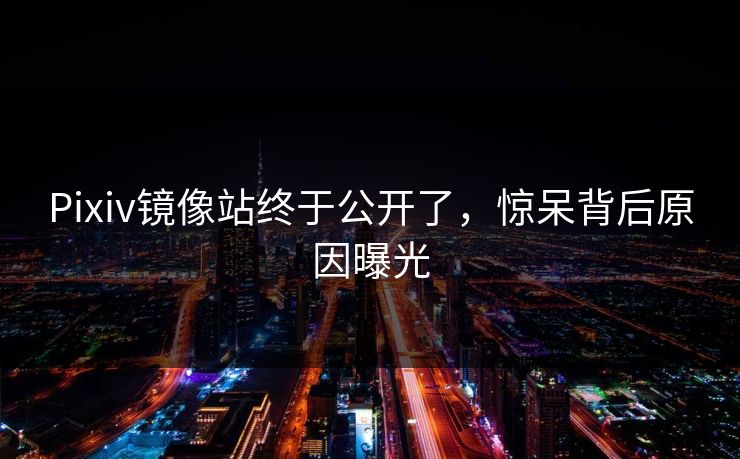 Pixiv镜像站终于公开了，惊呆背后原因曝光
