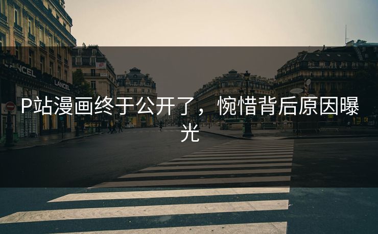 P站漫画终于公开了，惋惜背后原因曝光