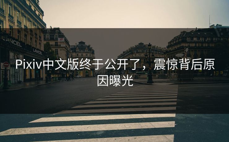 Pixiv中文版终于公开了，震惊背后原因曝光