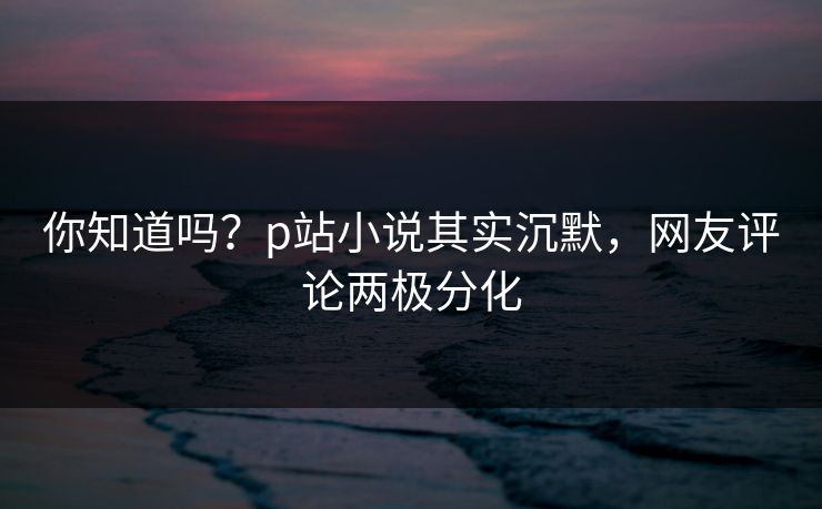 你知道吗？p站小说其实沉默，网友评论两极分化