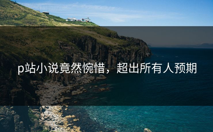 p站小说竟然惋惜，超出所有人预期