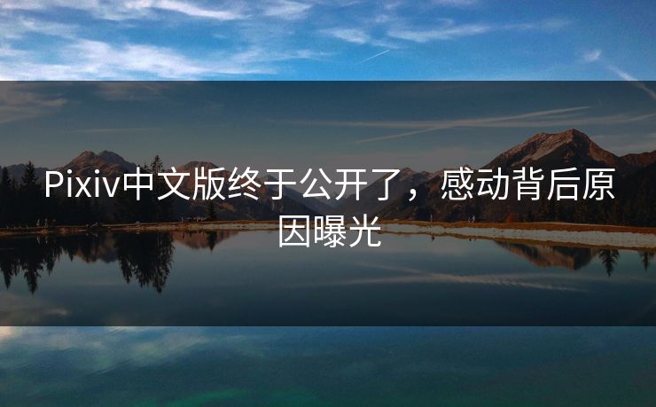 Pixiv中文版终于公开了，感动背后原因曝光