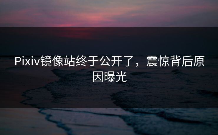 Pixiv镜像站终于公开了，震惊背后原因曝光