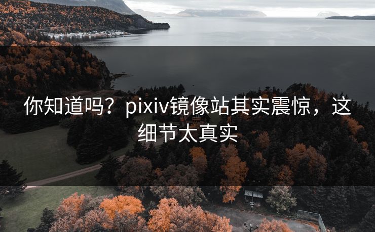 你知道吗？pixiv镜像站其实震惊，这细节太真实