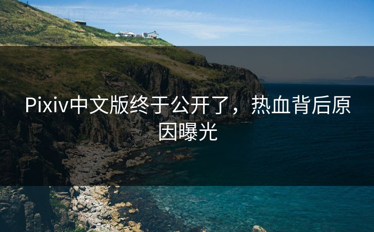 Pixiv中文版终于公开了，热血背后原因曝光