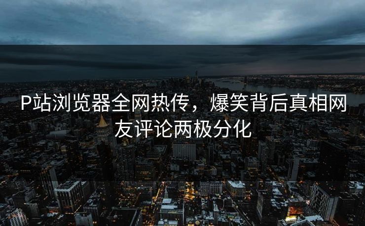 P站浏览器全网热传，爆笑背后真相网友评论两极分化