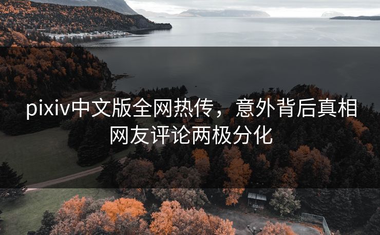 pixiv中文版全网热传，意外背后真相网友评论两极分化