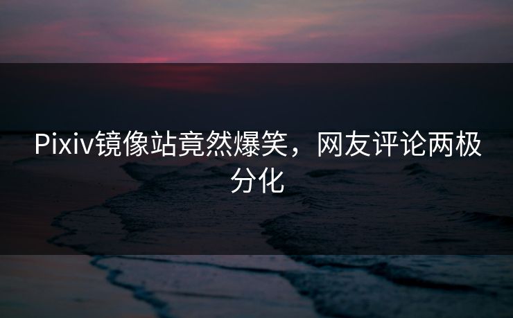 Pixiv镜像站竟然爆笑，网友评论两极分化