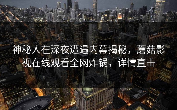 神秘人在深夜遭遇内幕揭秘，蘑菇影视在线观看全网炸锅，详情直击